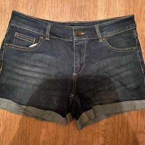 New York & Company stretch shorts